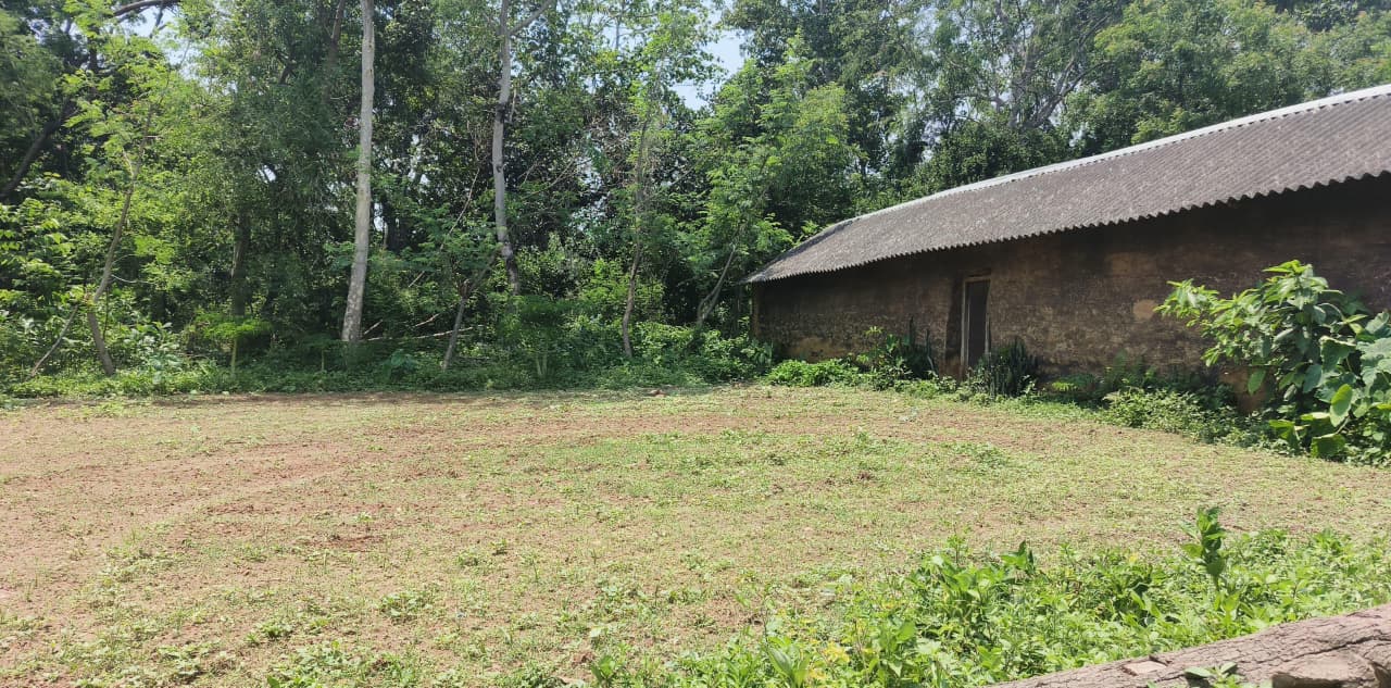 Farm boundary